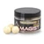 ANACONDA Magist Balls PopUp's Tigernuss/Tigrismogyoró/50g