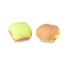 Kép 2/2 - ANACONDA Candy Cracker Wafter Citrus/Krill/ Citrom-Rák 9x10mm / 55g