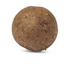 Kép 2/3 - ANACONDA Magist Balls / Potato / 1kg 