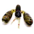 Kép 1/4 - DOIYO Blaze Micro Craw WMS 3,5cm / 8db