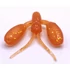 Kép 1/4 - DOIYO Blaze Micro Craw YCR 3,5cm / 8db