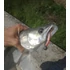 Kép 2/2 - IRON CLAW Just Shad RPE Real Perch UV
