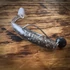 Kép 4/4 - Just Fish Baits Kitara SR Alborella 