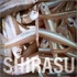Kép 4/4 - Just Fish Baits Kitara SR Shirasu 