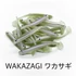 Kép 4/5 - Just Fish Bait Kitara SR Wakazagi 