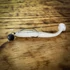 Kép 4/4 - Just Fish Baits Kitara SR White Ghost 