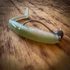 Kép 4/4 - Just Fish Baits Kitara SR Young Bass 