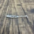 Kép 1/5 - Just Fish Baits Kitara SR K-Silver 